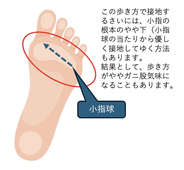 小指球から設置してゆく